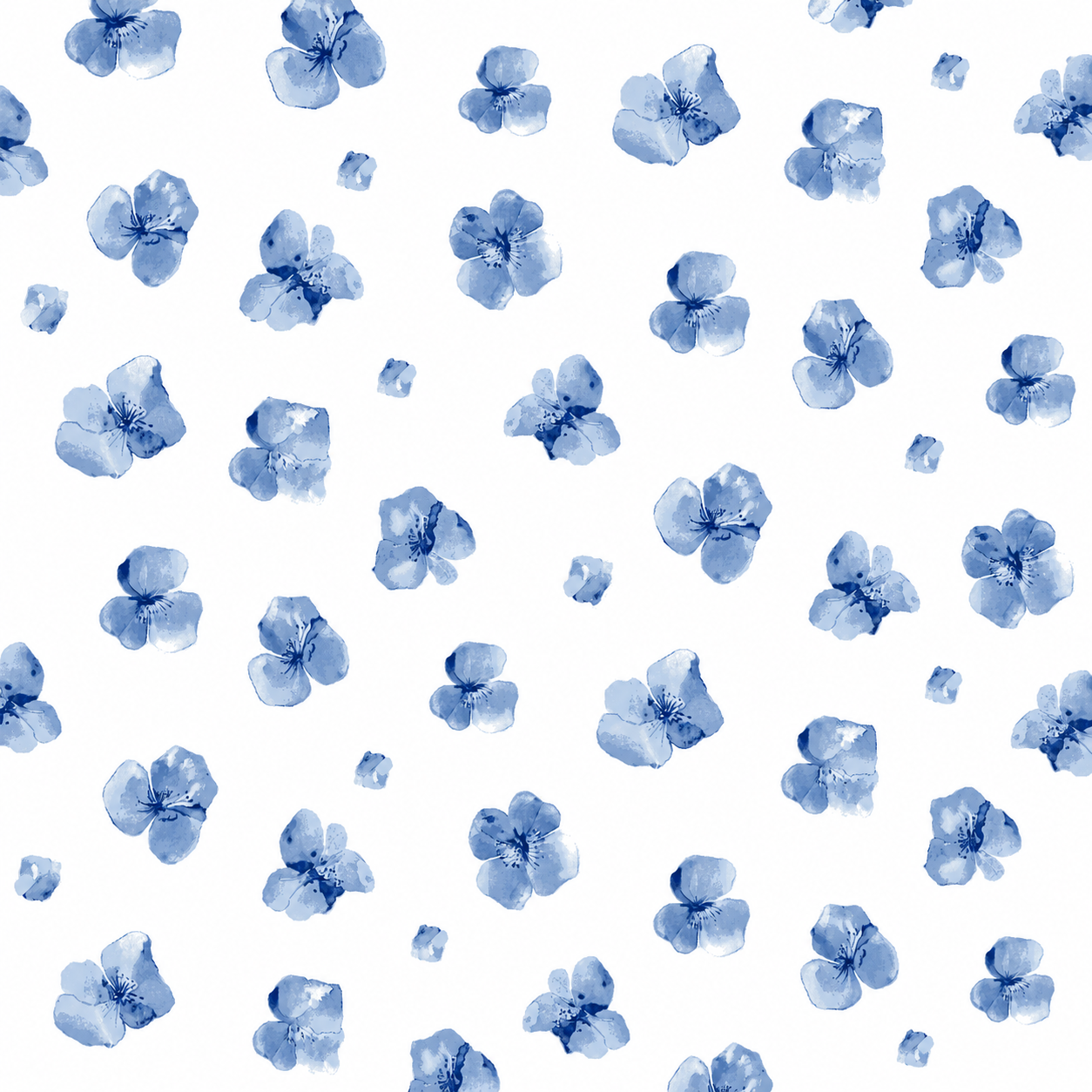 Daisy Blue